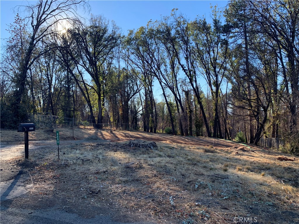 City of Trees Realty Chico Real Estate Chico homes for sale