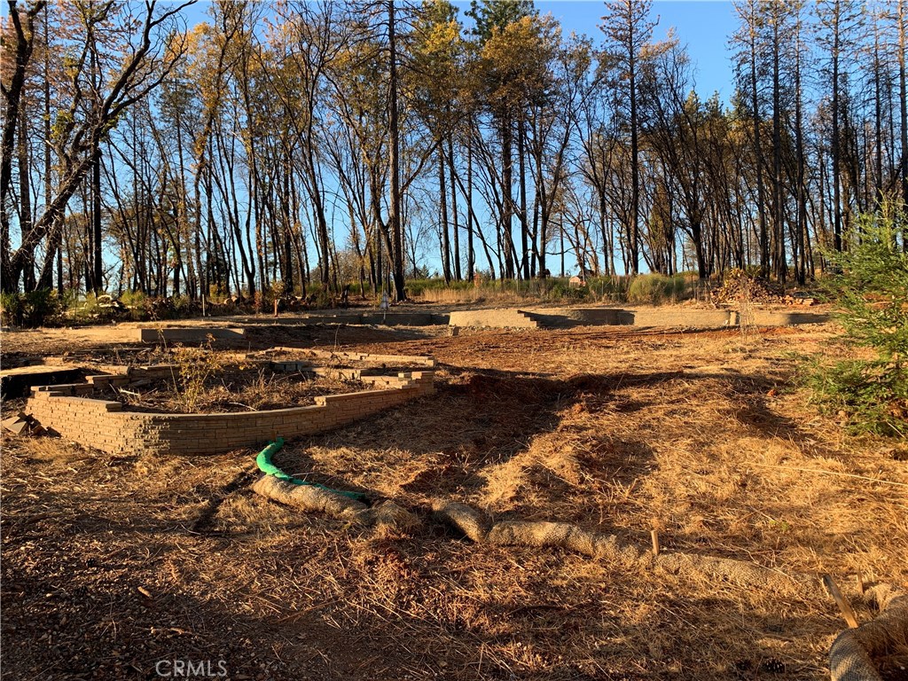 City of Trees Realty Chico Real Estate Chico homes for sale